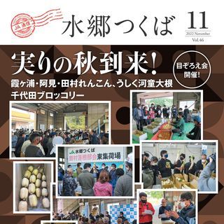 11月号